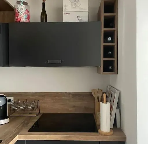 Appartement T2 Avec Jardin