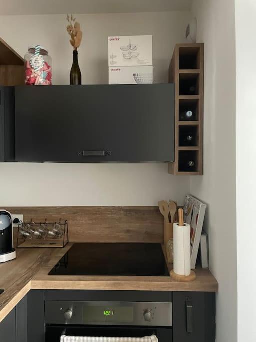 Apartment T2 Avec Jardin Lucciana (Corsica)